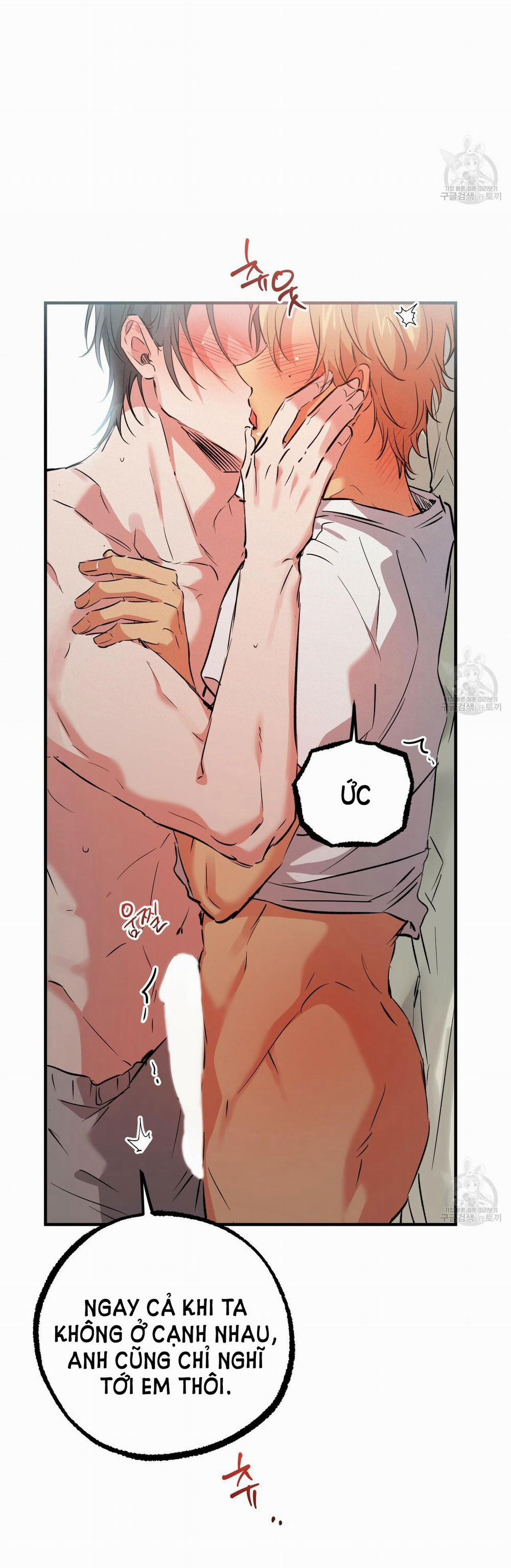 Những Chú Thỏ Của Hapypy 54.1 trang 10