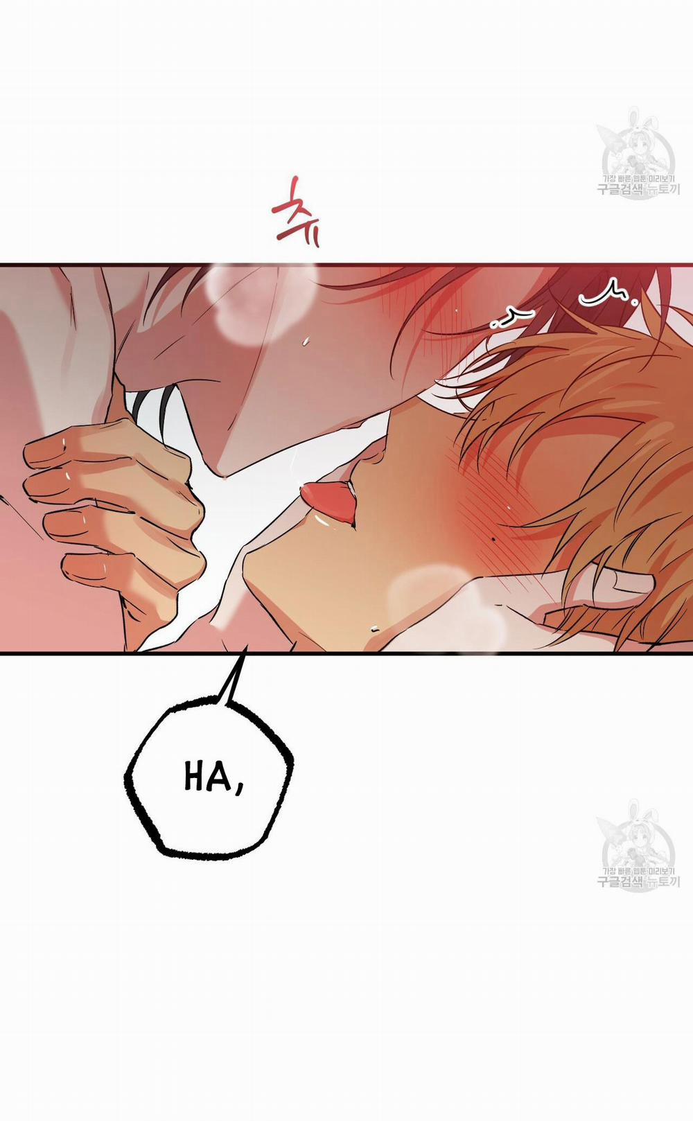 Những Chú Thỏ Của Hapypy 54.1 trang 12