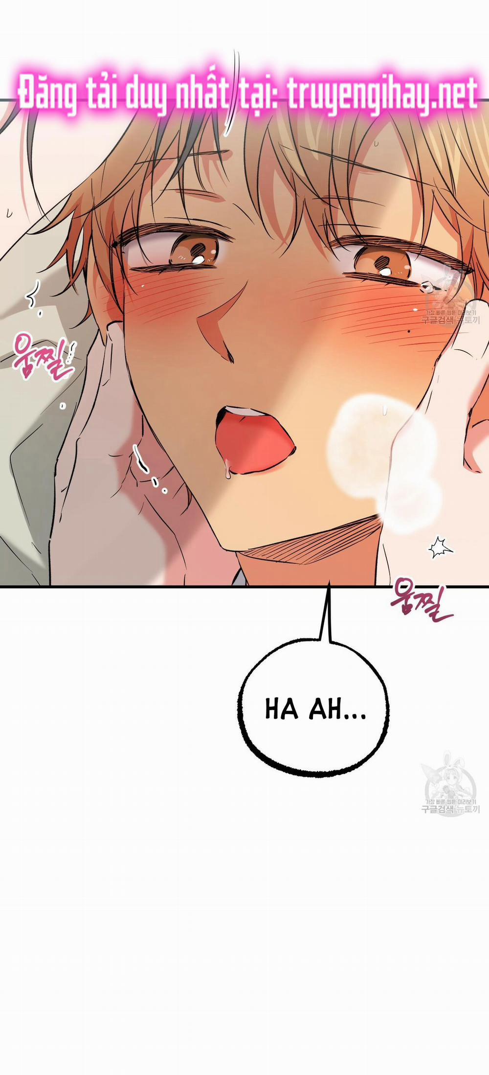 Những Chú Thỏ Của Hapypy 54.1 trang 13