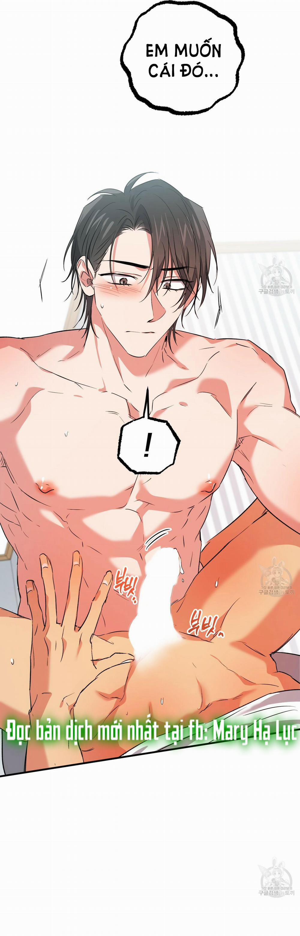 Những Chú Thỏ Của Hapypy 54.1 trang 15