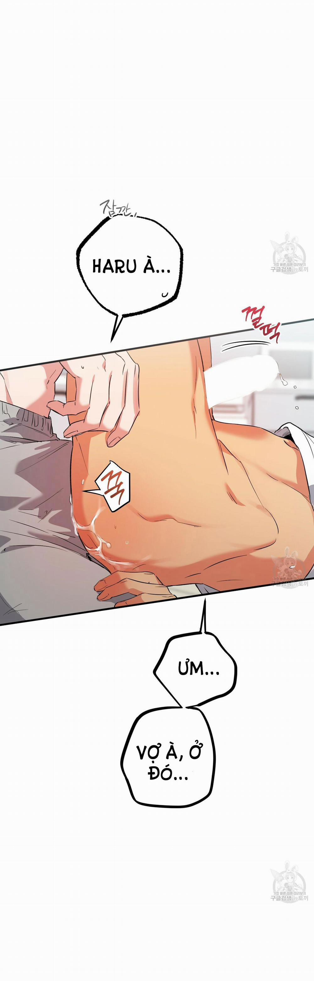 Những Chú Thỏ Của Hapypy 54.1 trang 16