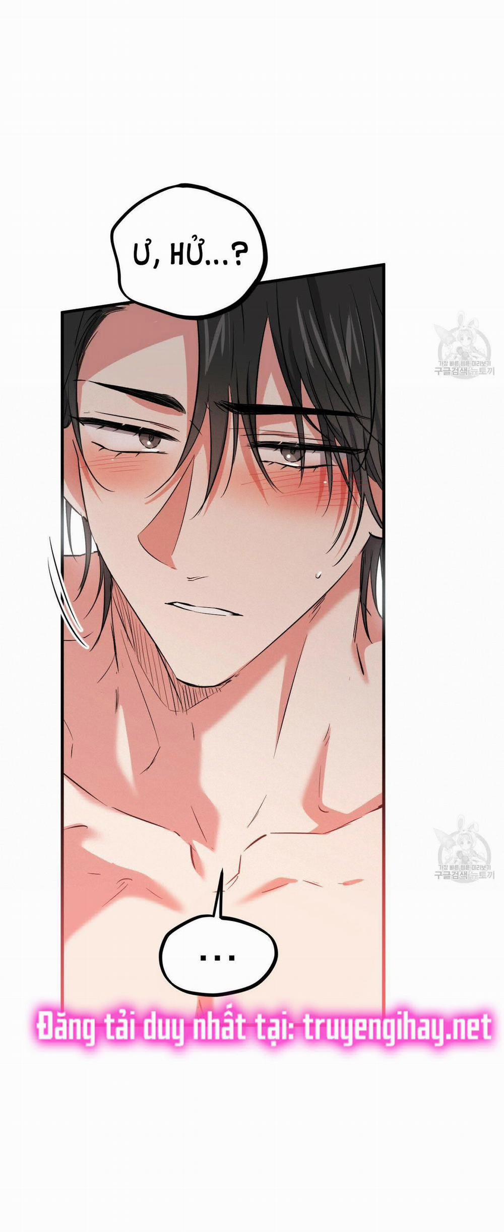 Những Chú Thỏ Của Hapypy 54.1 trang 17