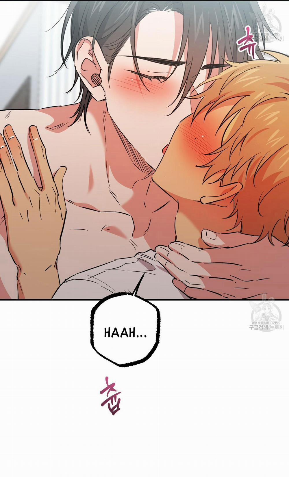 Những Chú Thỏ Của Hapypy 54.1 trang 3