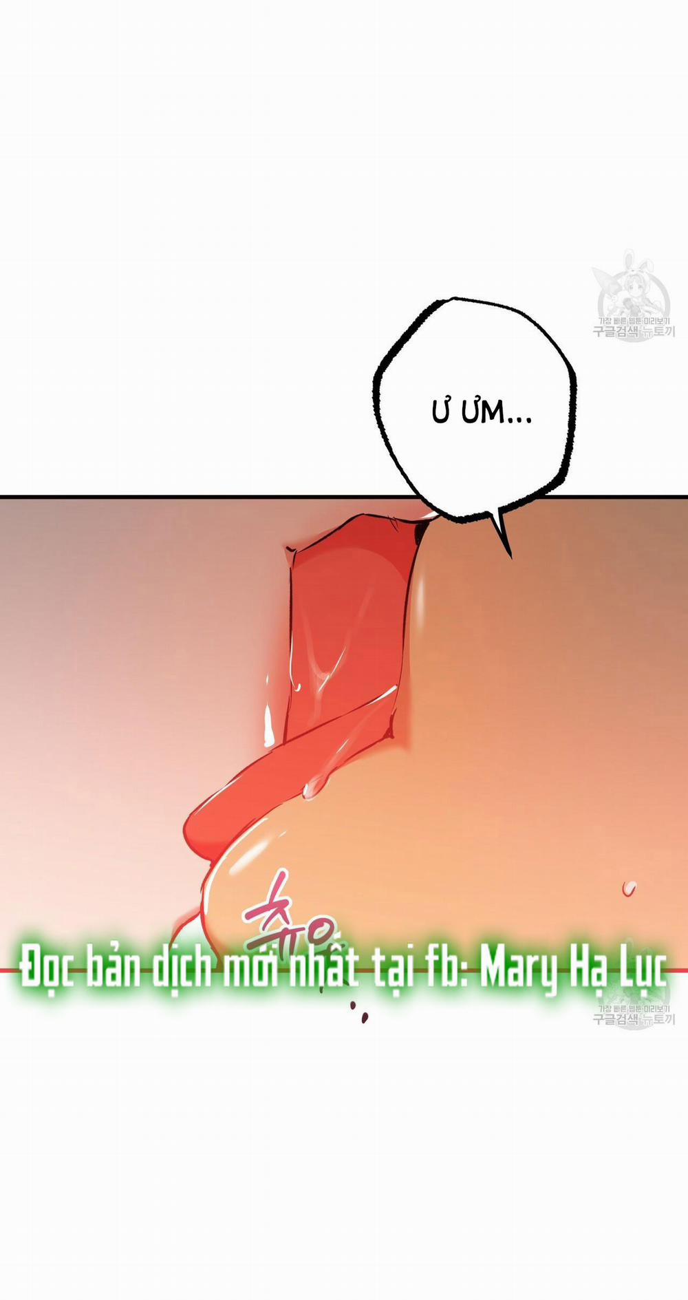 Những Chú Thỏ Của Hapypy 54.1 trang 4