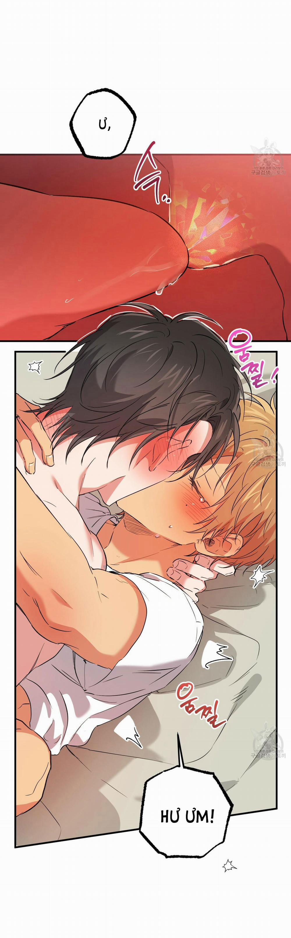 Những Chú Thỏ Của Hapypy 54.1 trang 5