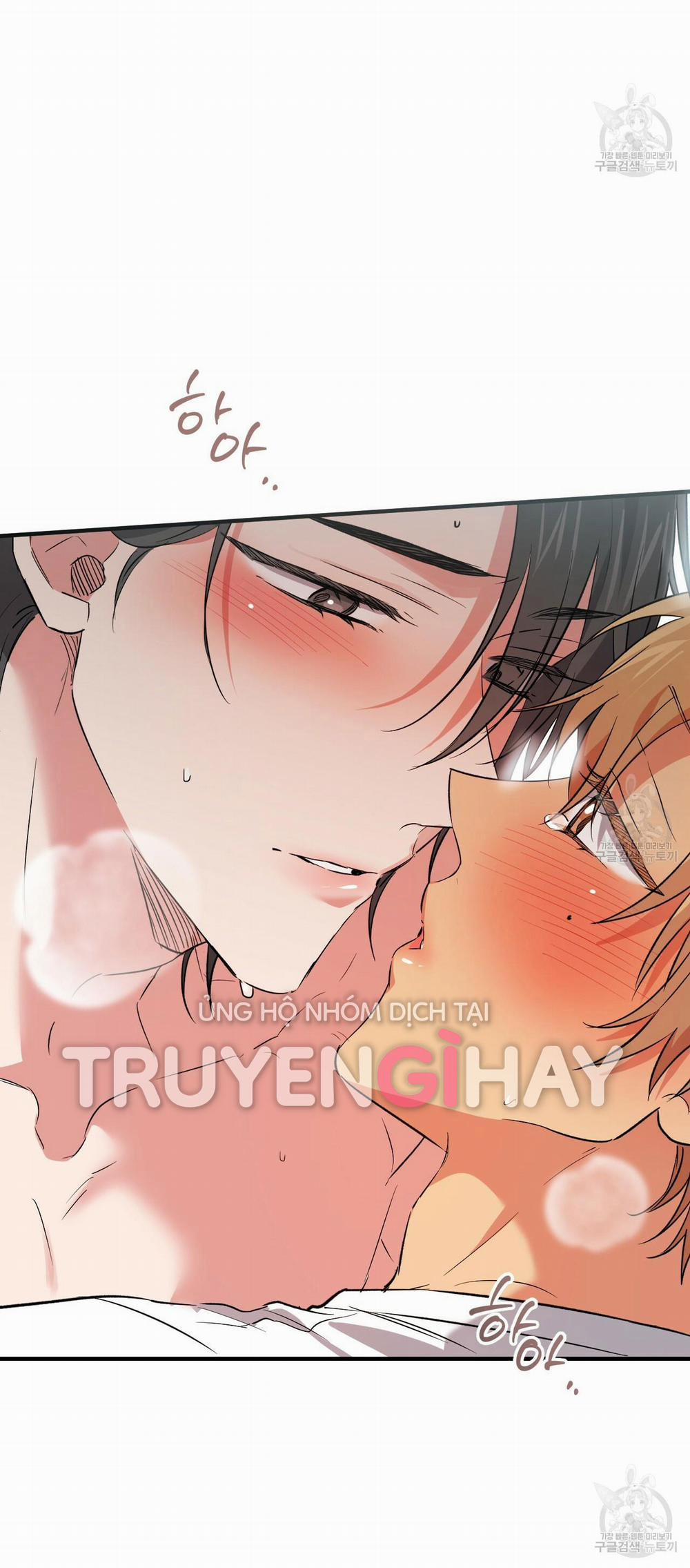 Những Chú Thỏ Của Hapypy 54.1 trang 8