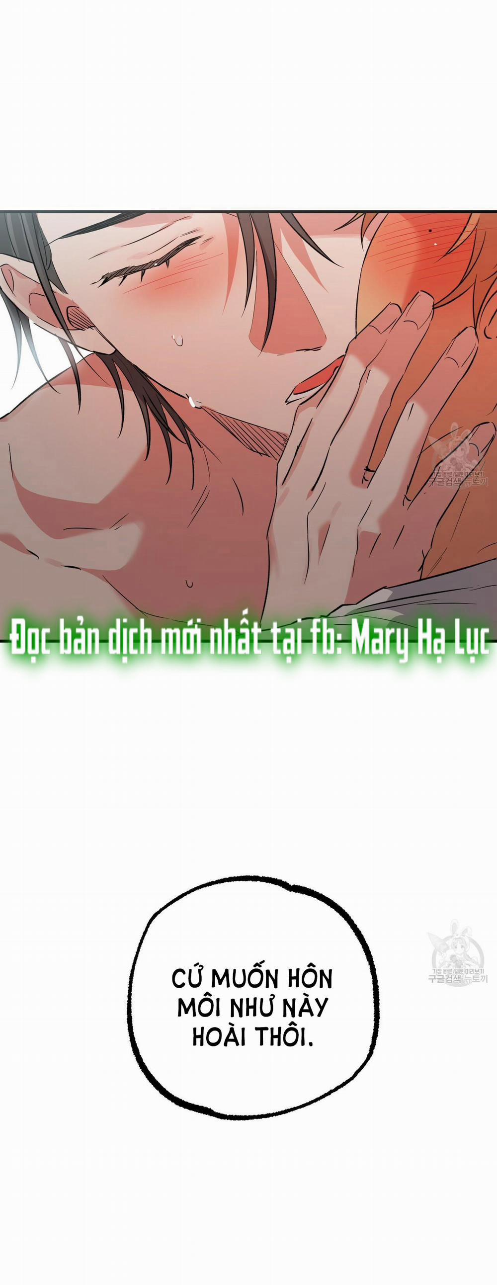 Những Chú Thỏ Của Hapypy 54.1 trang 9