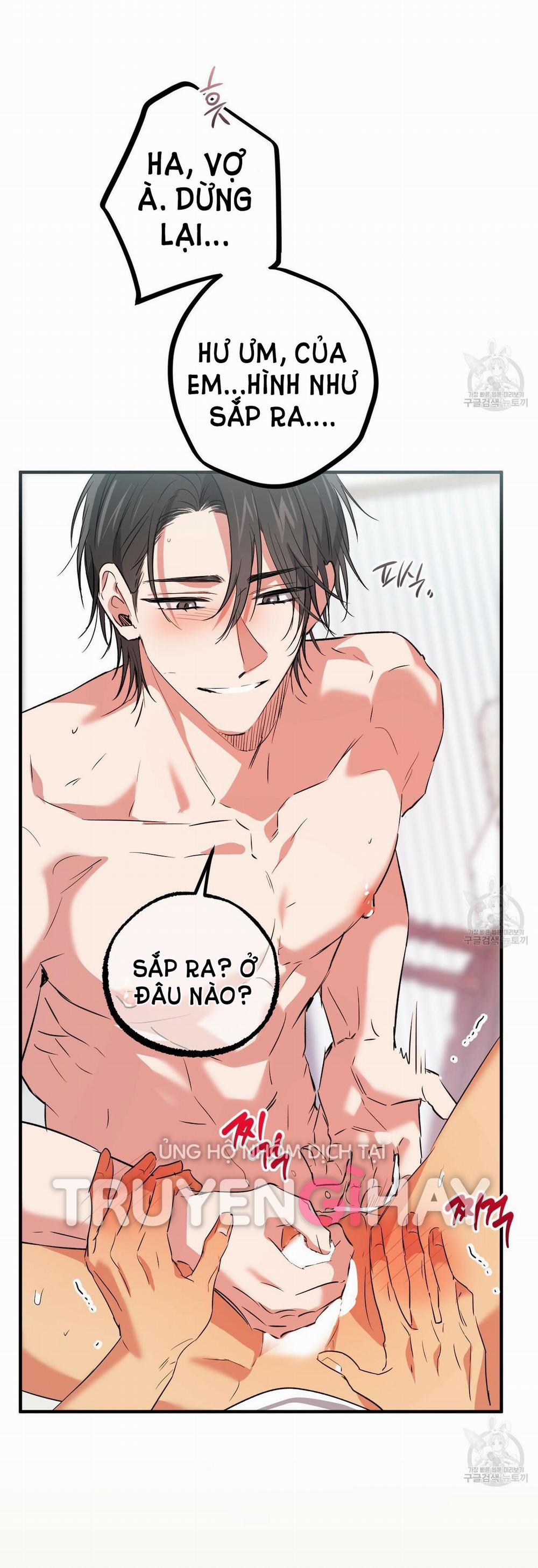 Những Chú Thỏ Của Hapypy 54.2 trang 11