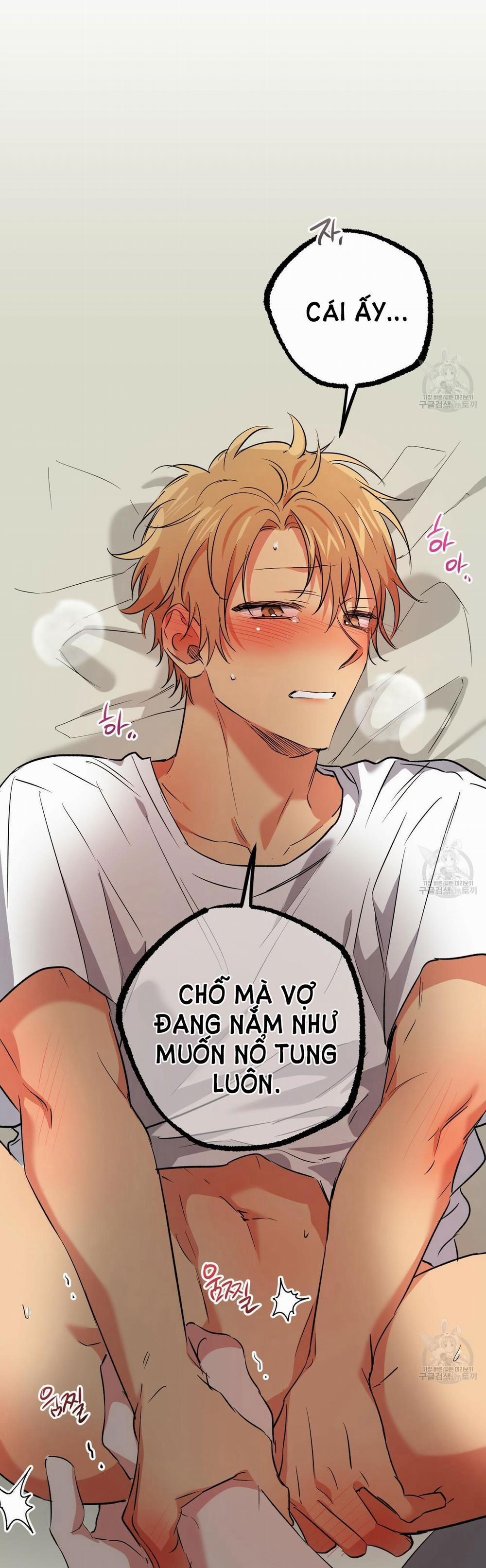 Những Chú Thỏ Của Hapypy 54.2 trang 12