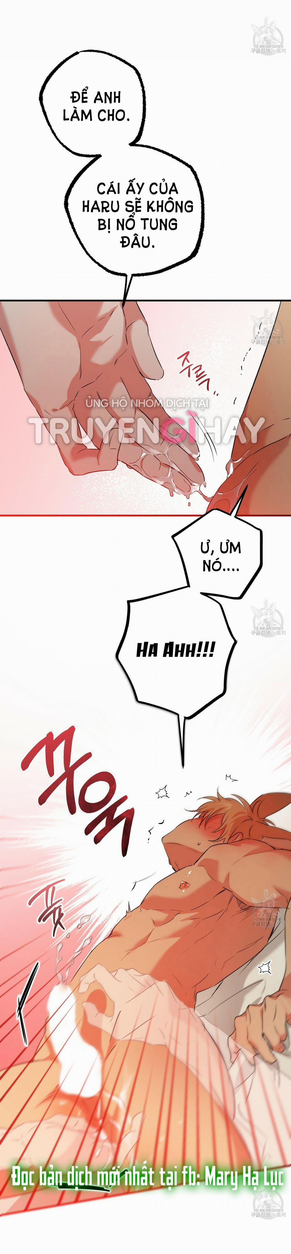 Những Chú Thỏ Của Hapypy 54.2 trang 15