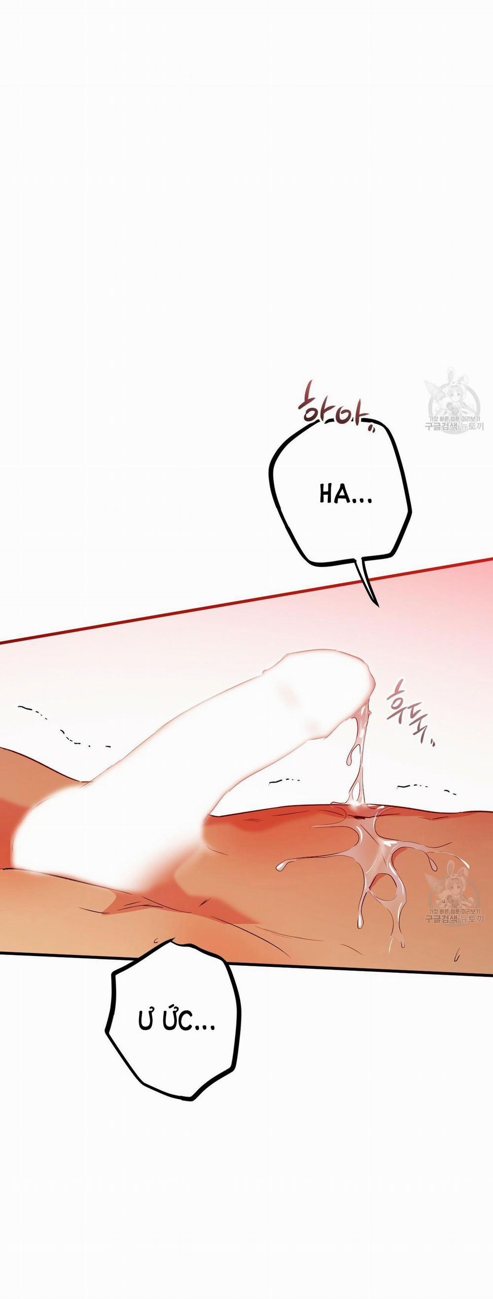 Những Chú Thỏ Của Hapypy 54.2 trang 16