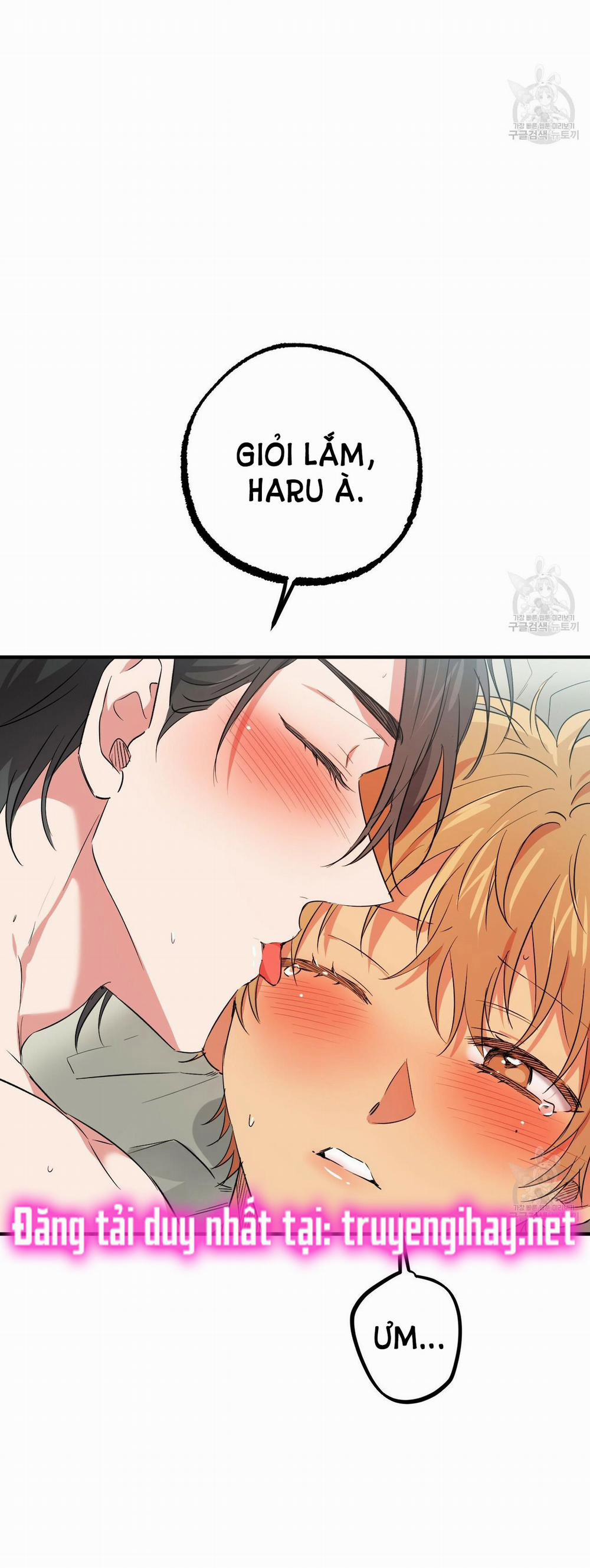 Những Chú Thỏ Của Hapypy 54.2 trang 17