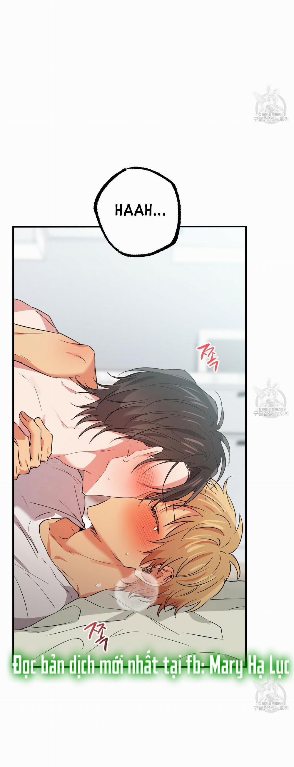 Những Chú Thỏ Của Hapypy 54.2 trang 18