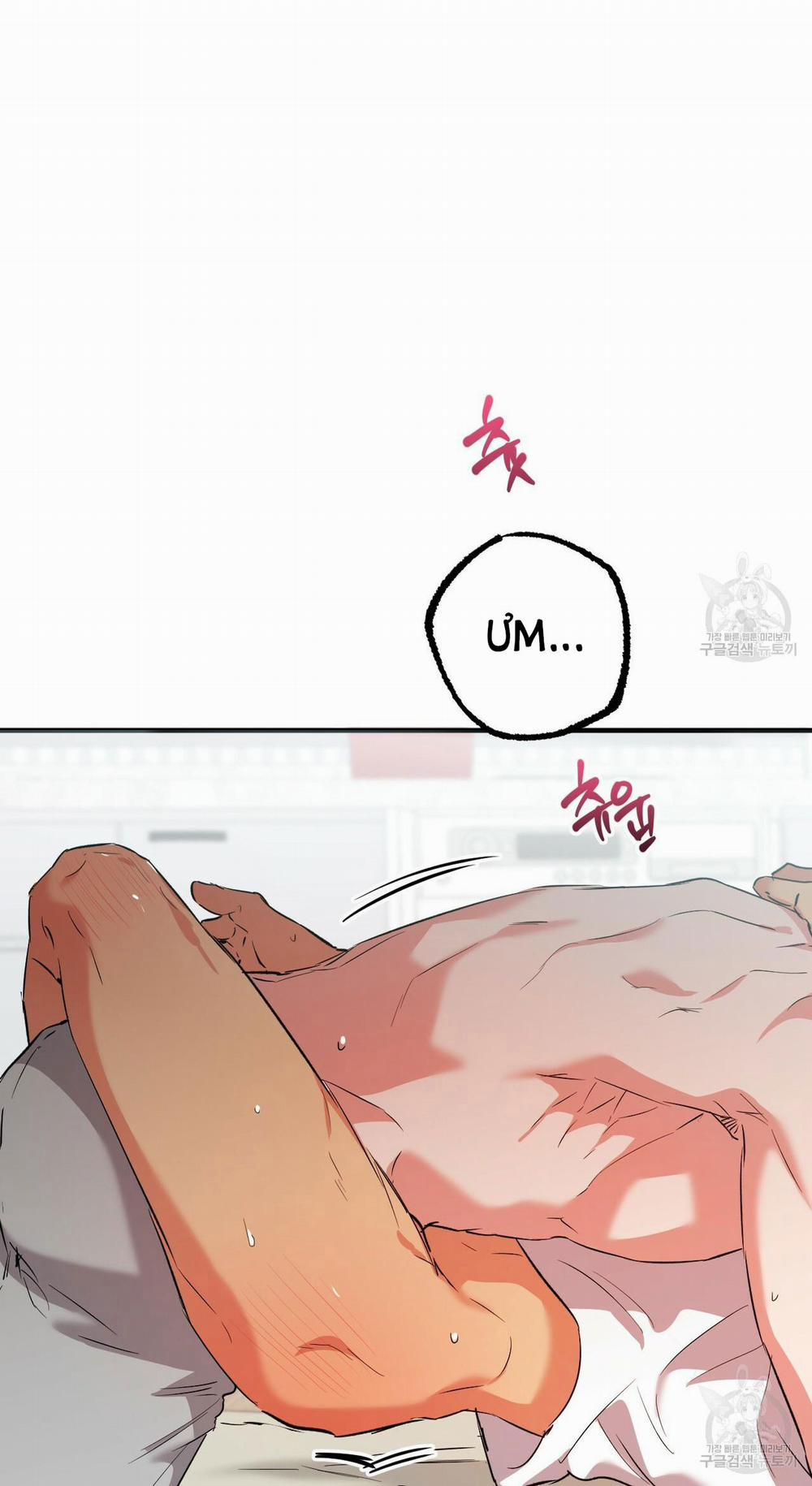 Những Chú Thỏ Của Hapypy 54.2 trang 19