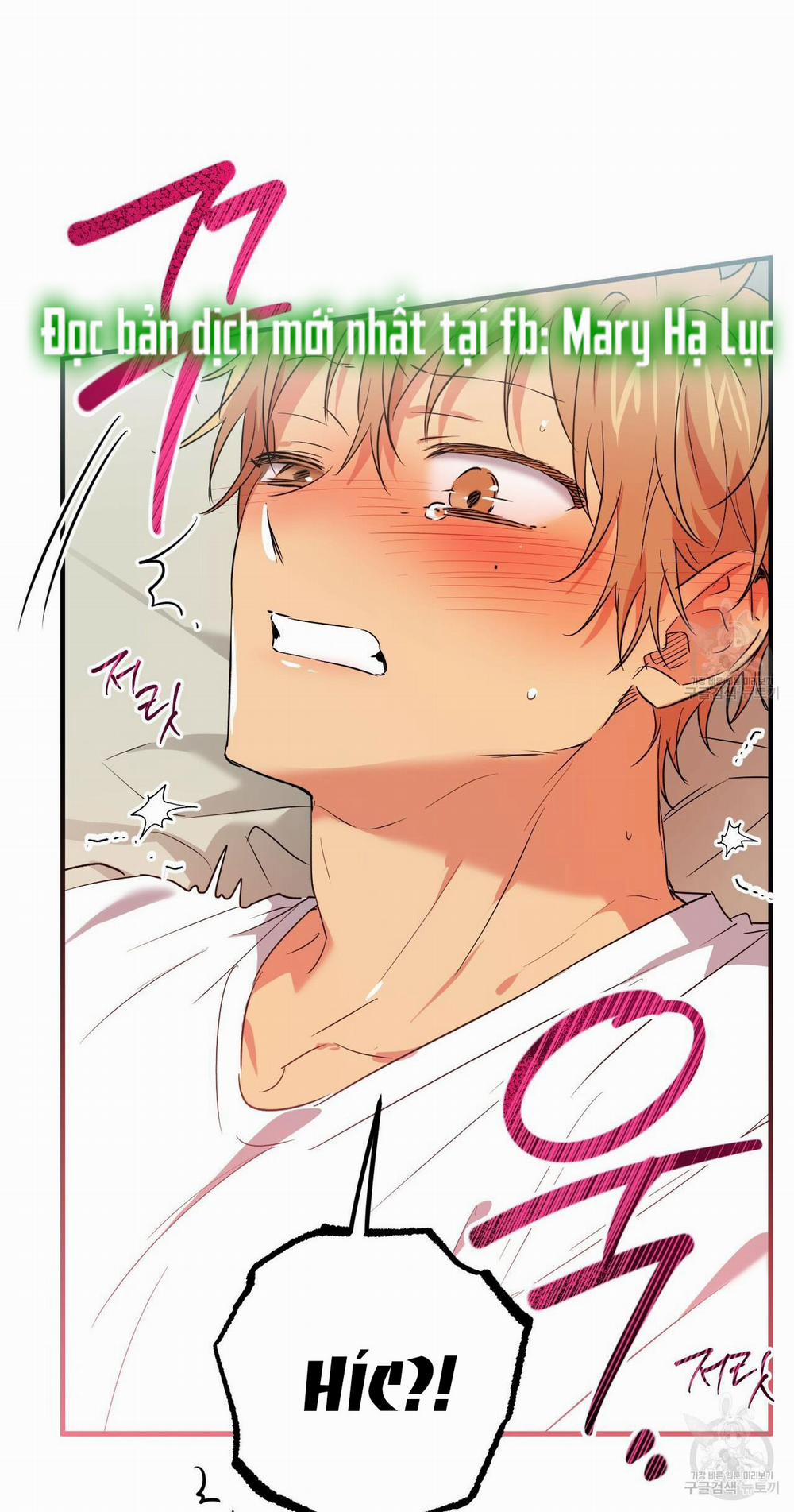 Những Chú Thỏ Của Hapypy 54.2 trang 2