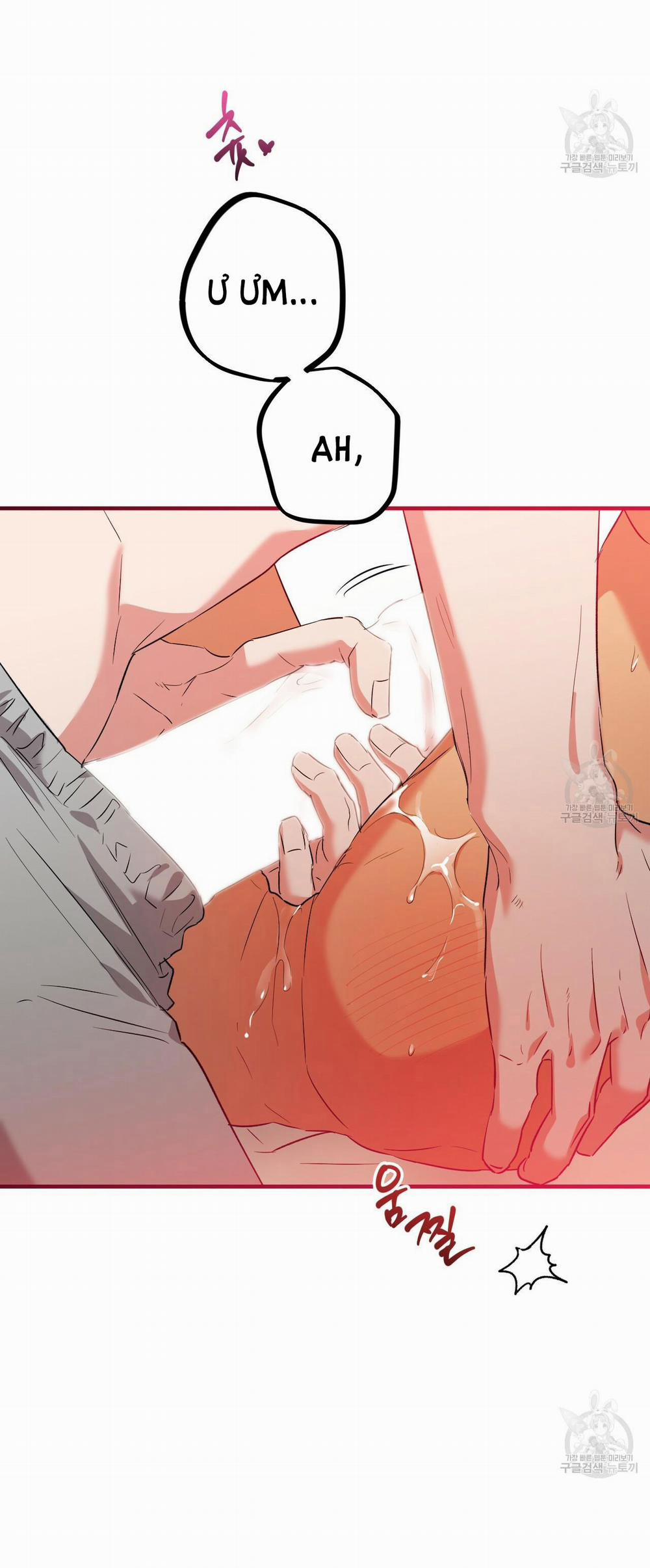 Những Chú Thỏ Của Hapypy 54.2 trang 21