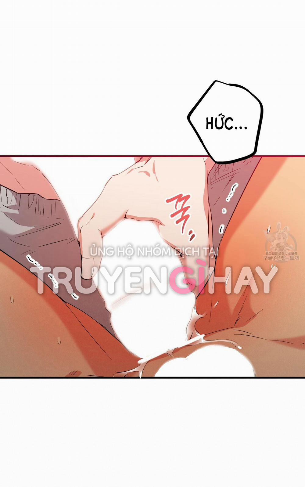 Những Chú Thỏ Của Hapypy 54.2 trang 22