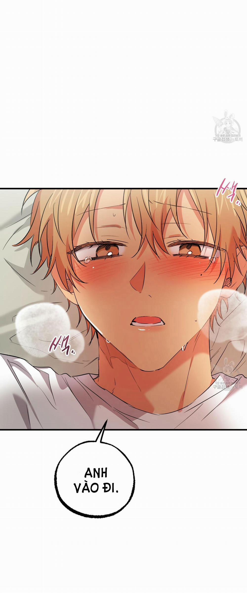 Những Chú Thỏ Của Hapypy 54.2 trang 25