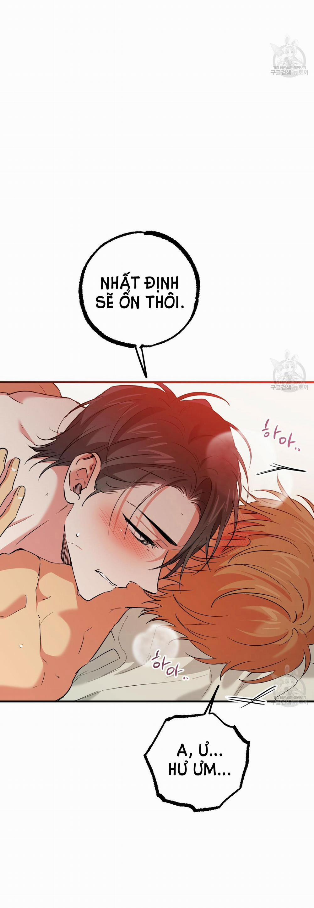 Những Chú Thỏ Của Hapypy 54.2 trang 30