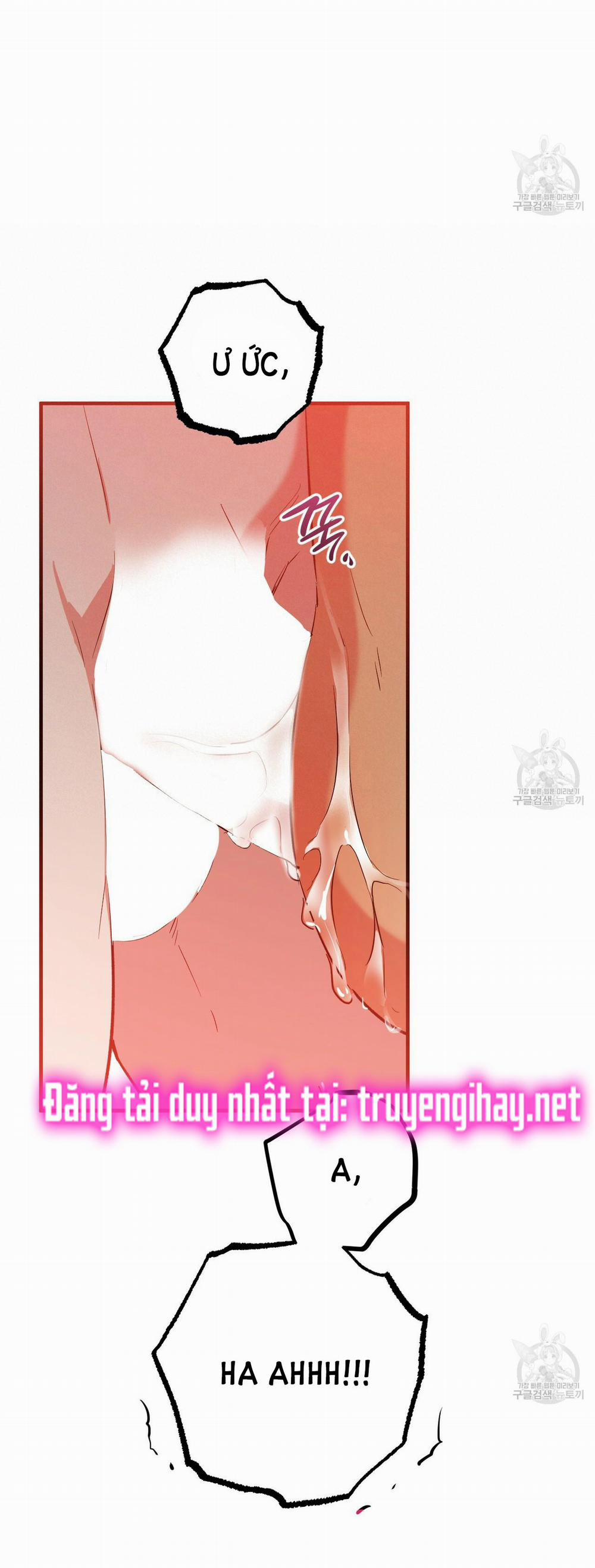 Những Chú Thỏ Của Hapypy 54.2 trang 31