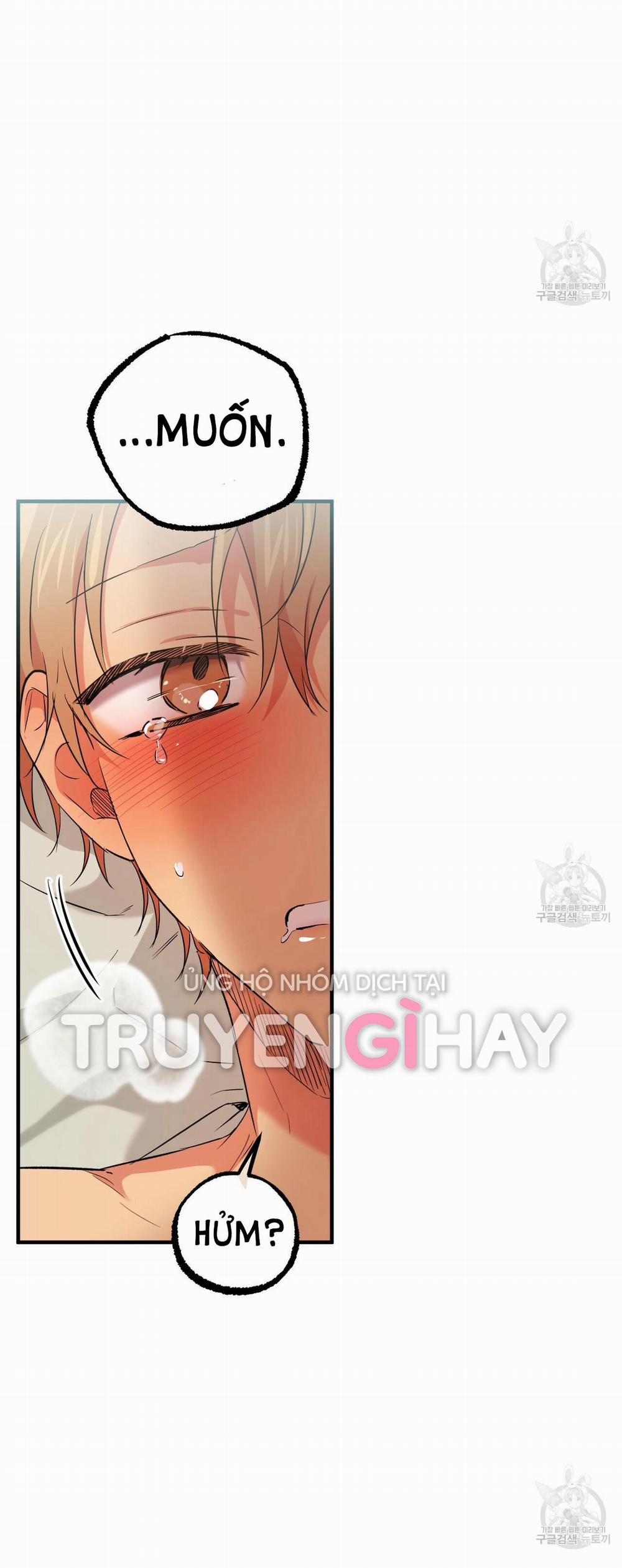 Những Chú Thỏ Của Hapypy 54.2 trang 36