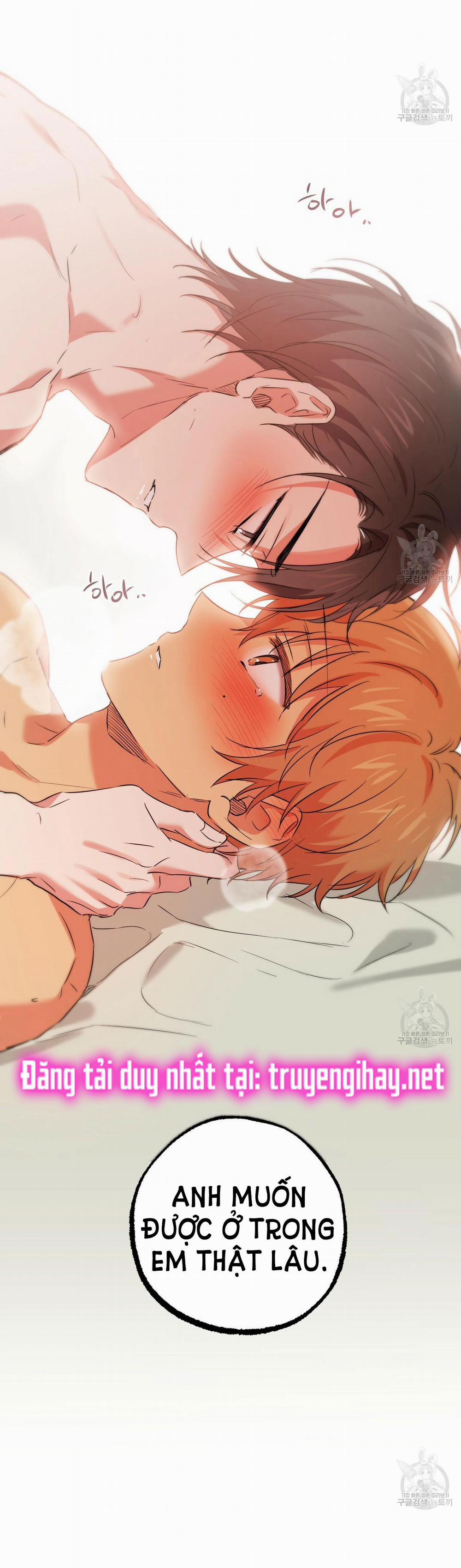 Những Chú Thỏ Của Hapypy 54.2 trang 38