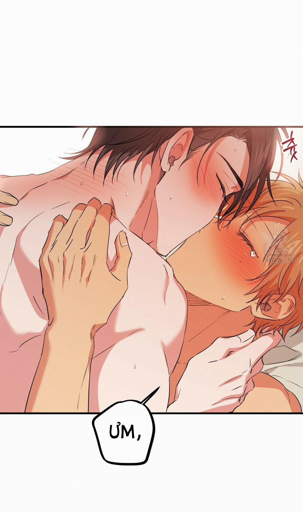 Những Chú Thỏ Của Hapypy 54.2 trang 39