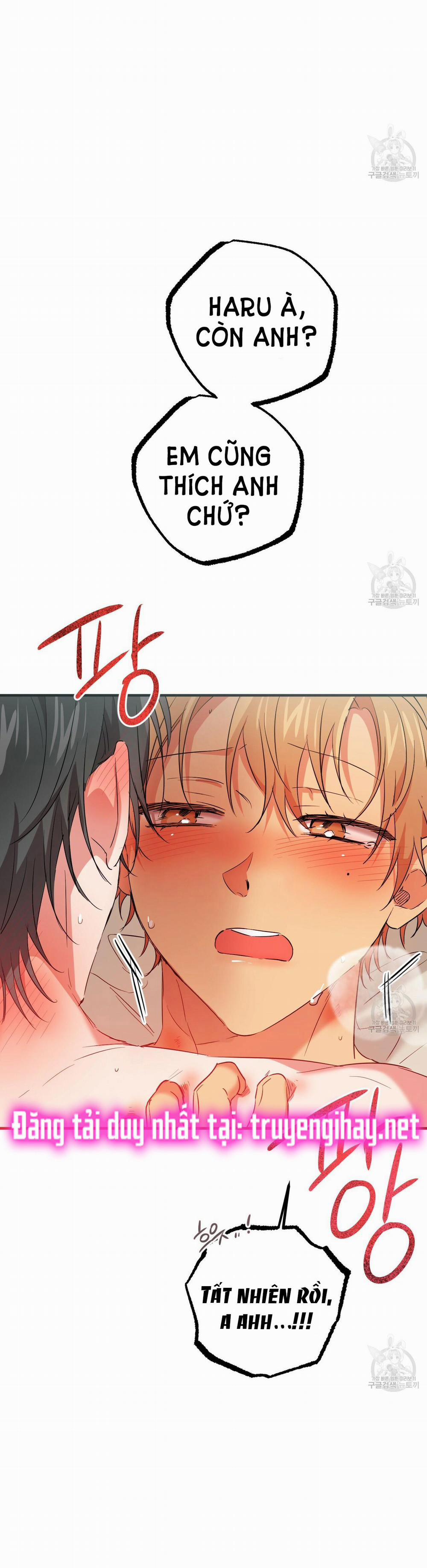 Những Chú Thỏ Của Hapypy 54.2 trang 44