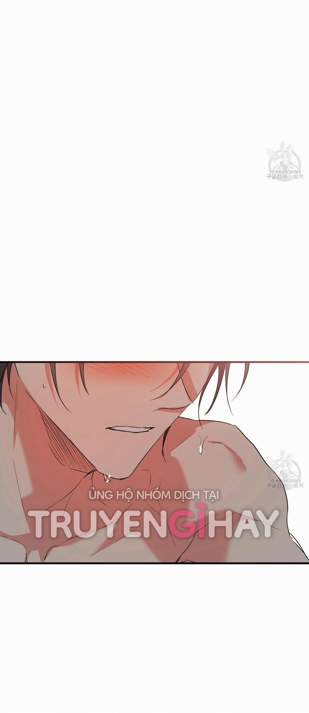 Những Chú Thỏ Của Hapypy 54.2 trang 45