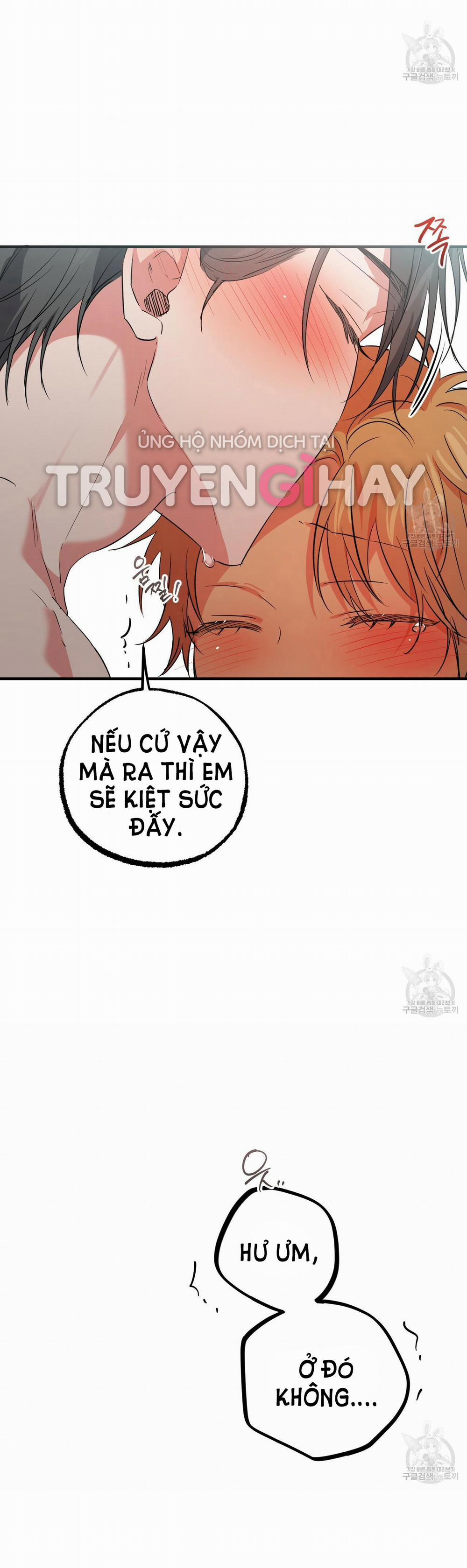 Những Chú Thỏ Của Hapypy 54.2 trang 6