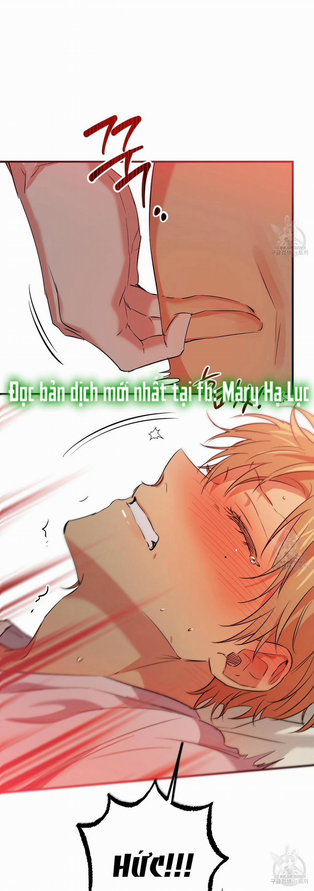 Những Chú Thỏ Của Hapypy 54.2 trang 7