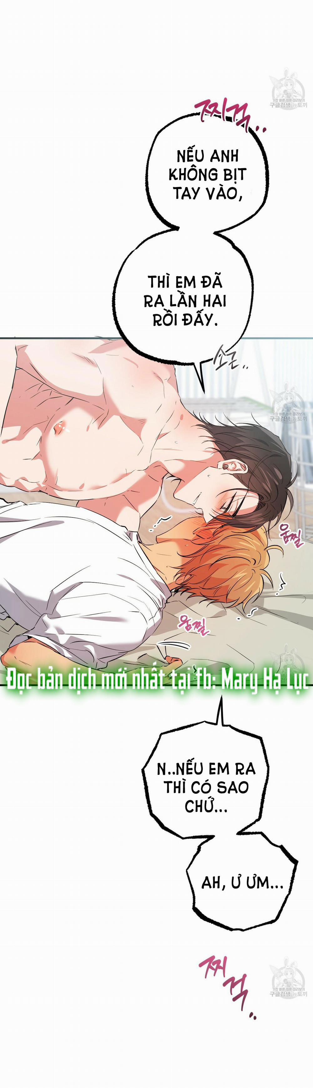 Những Chú Thỏ Của Hapypy 54.2 trang 9