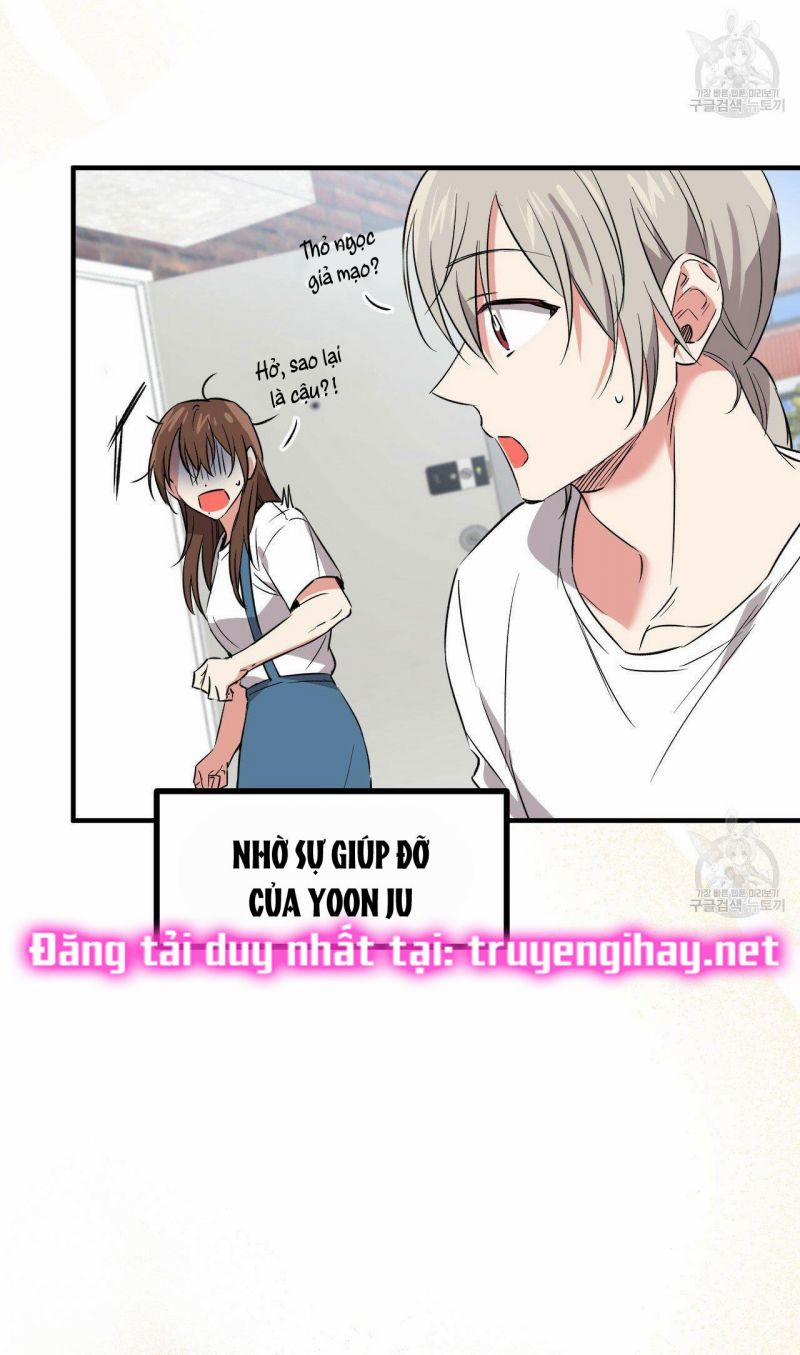 Những Chú Thỏ Của Hapypy 55.1 trang 2