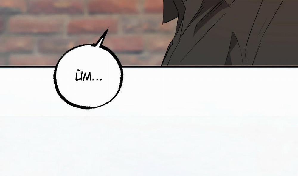 Những Chú Thỏ Của Hapypy 56 trang 148