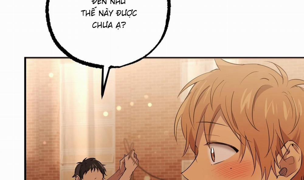 Những Chú Thỏ Của Hapypy 56 trang 172