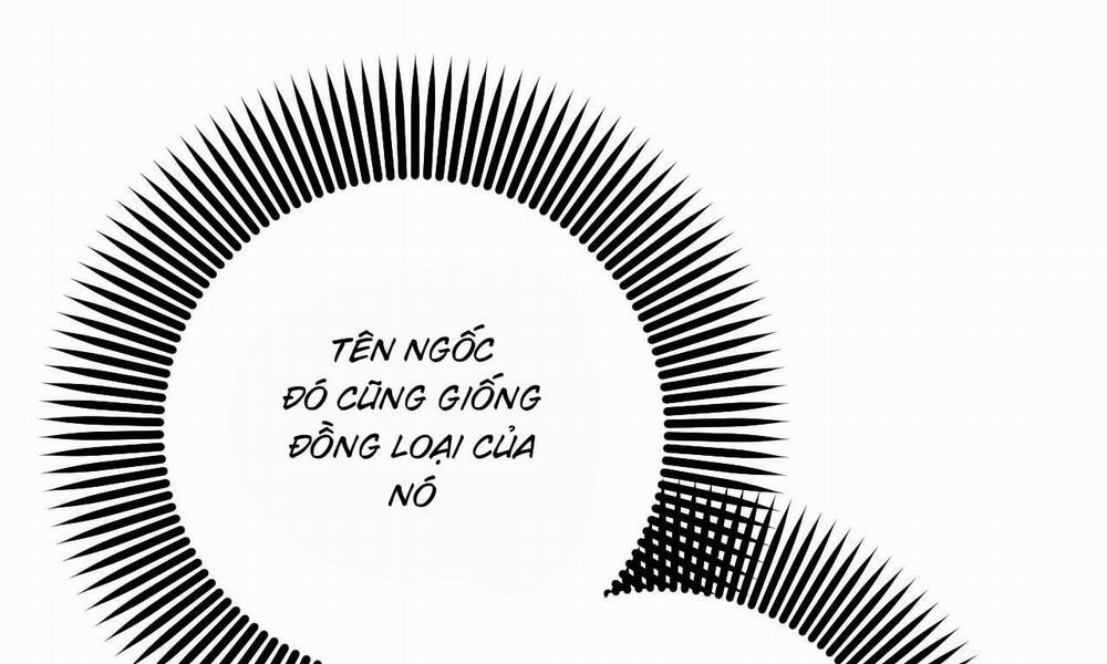 Những Chú Thỏ Của Hapypy 56 trang 251