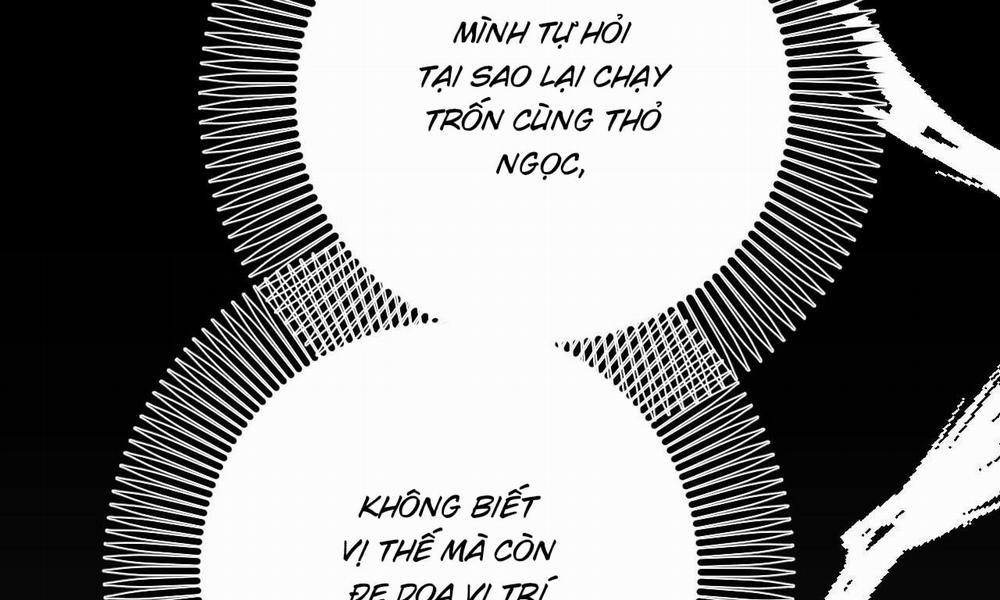 Những Chú Thỏ Của Hapypy 56 trang 259