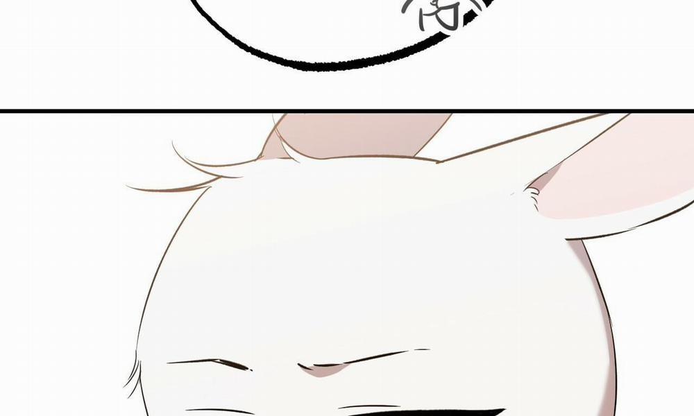 Những Chú Thỏ Của Hapypy 56 trang 267