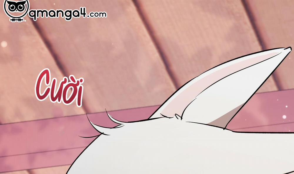 Những Chú Thỏ Của Hapypy 56 trang 300