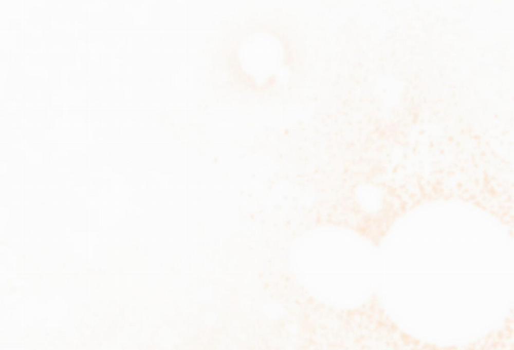 Những Chú Thỏ Của Hapypy 57 trang 138