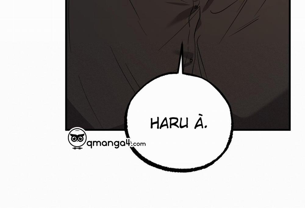 Những Chú Thỏ Của Hapypy 57 trang 147