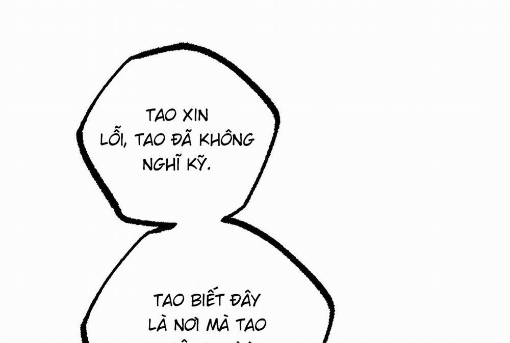 Những Chú Thỏ Của Hapypy 57 trang 161