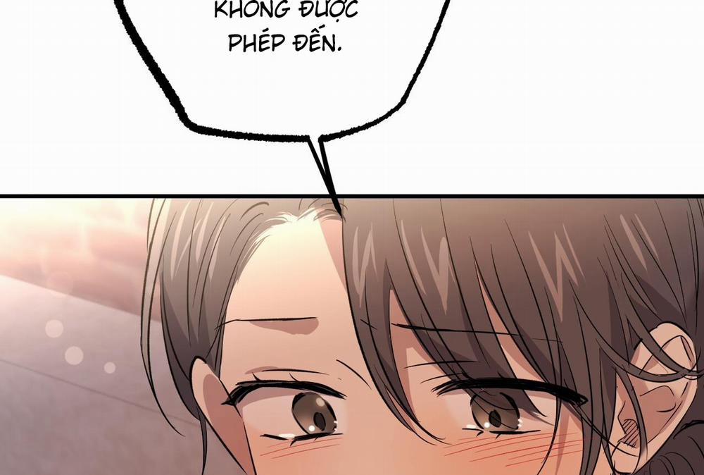 Những Chú Thỏ Của Hapypy 57 trang 162