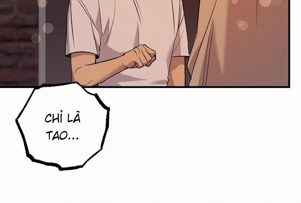 Những Chú Thỏ Của Hapypy 57 trang 166