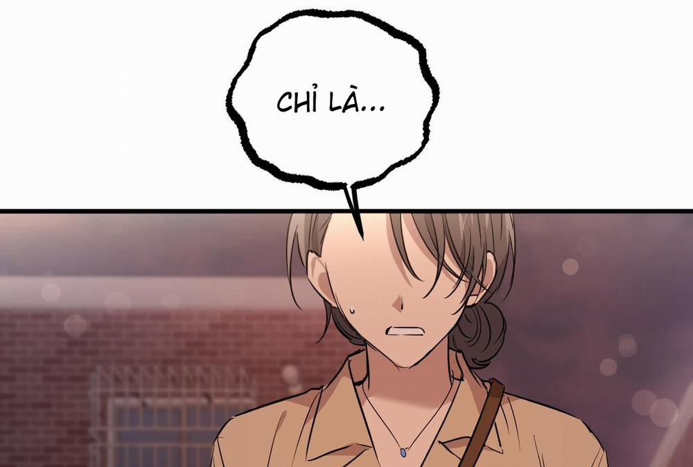 Những Chú Thỏ Của Hapypy 57 trang 168