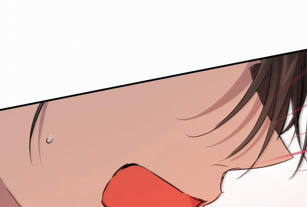 Những Chú Thỏ Của Hapypy 57 trang 204