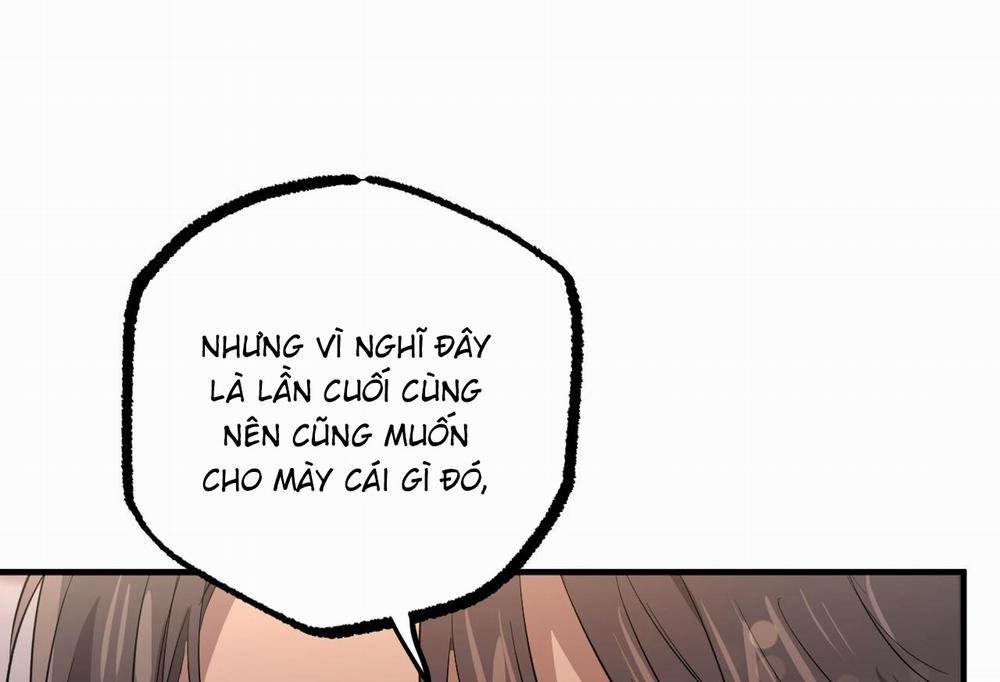 Những Chú Thỏ Của Hapypy 57 trang 21