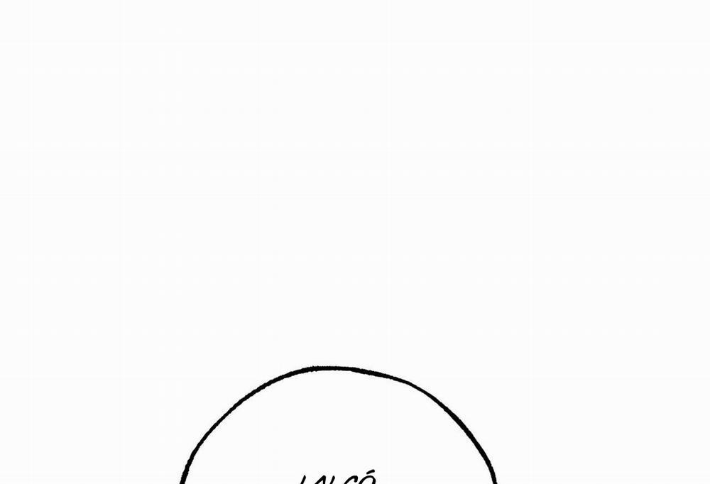 Những Chú Thỏ Của Hapypy 57 trang 228