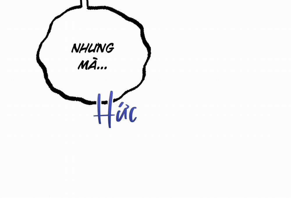 Những Chú Thỏ Của Hapypy 57 trang 231