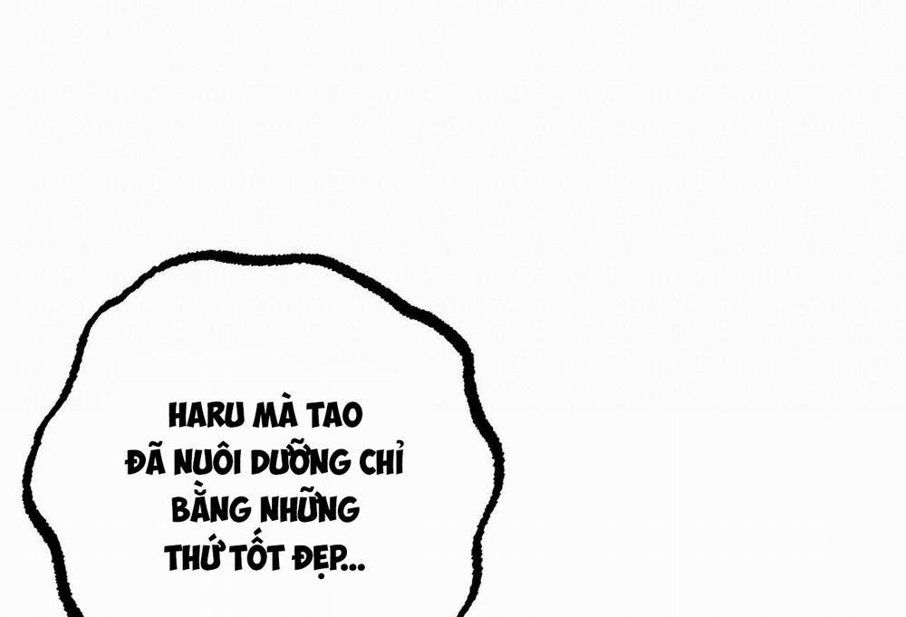 Những Chú Thỏ Của Hapypy 57 trang 236